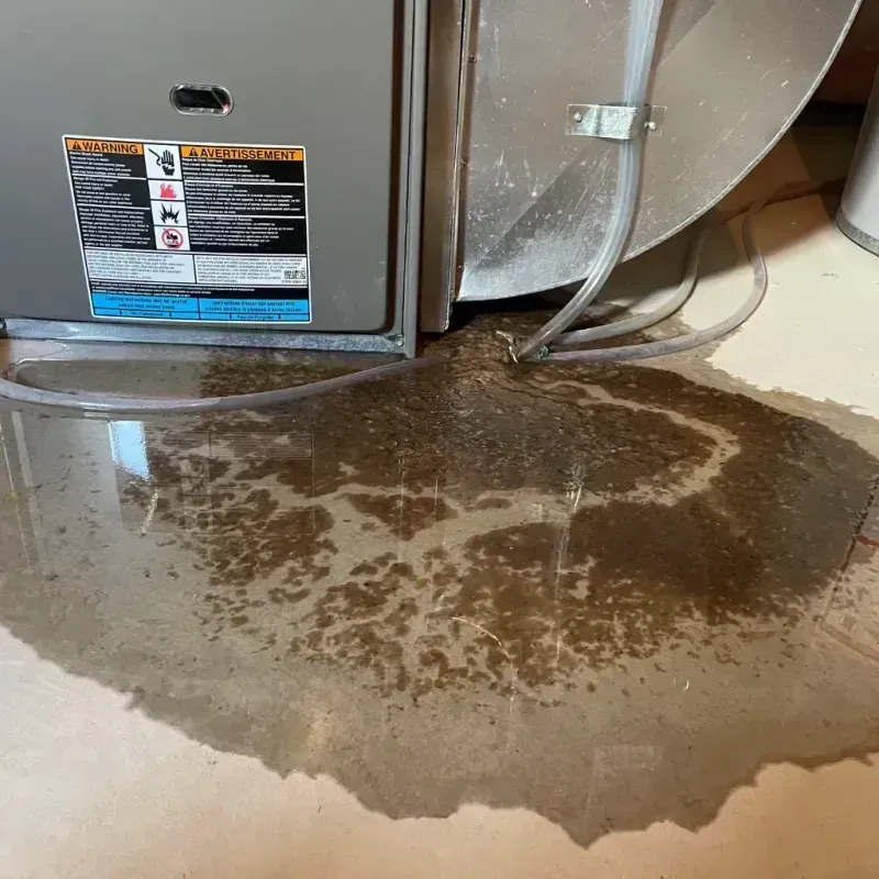 Appliance Leak Cleanup in Forsyth County, NC